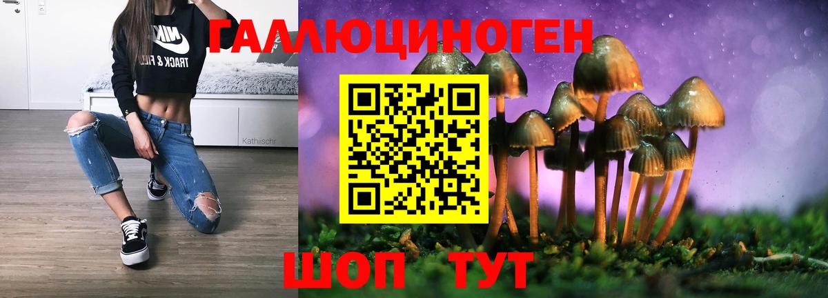 Брянск  Псилоцибиновые грибы Magic Shrooms  Вход с VPN  наркошоп  Псилоцибиновые грибы Magic Shrooms 