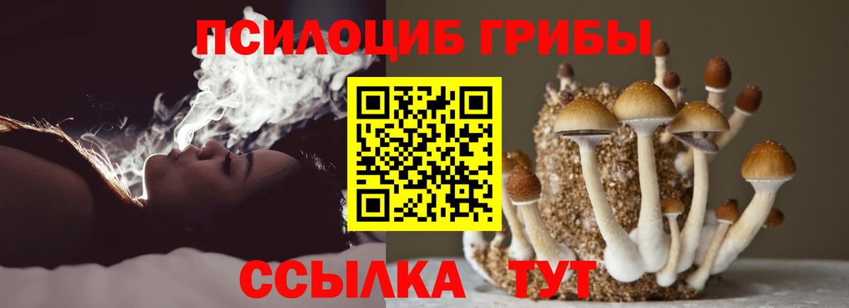 Галлюциногенные грибы GOLDEN TEACHER Брянск